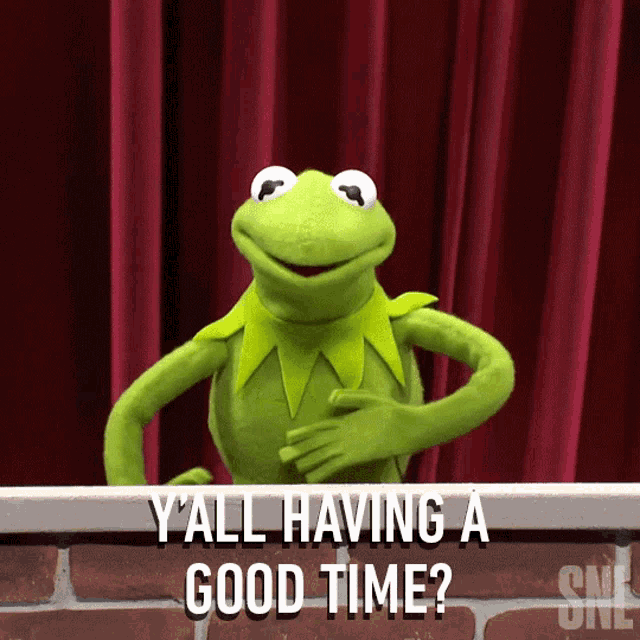 Yall Having A Good Time Kermit The Frog GIF - Yall Having A Good Time Kermit The Frog Saturday Night Live GIFs