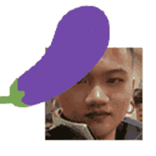inu eggplant