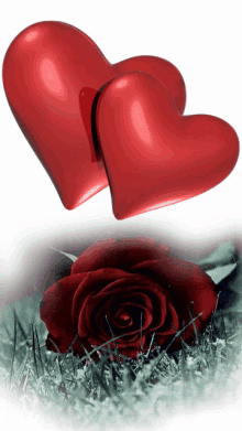 Two Hearts Red Heart GIF - Two Hearts Hearts Red Heart GIFs