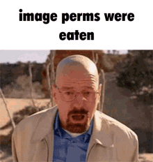 Image Perms Eaten GIF - Image Perms Eaten Image Perms Gone GIFs