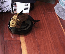 Roomba Shark GIF - Roomba Shark Cute Animals GIFs