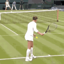 monica niculescu underhand serve tennis underarm wta