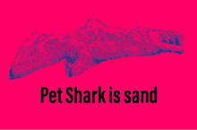 Pet Shark Gish GIF - Pet Shark Gish Hall Of Fame GIFs