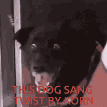 Korn Twist GIF - Korn Twist Twist Korn GIFs