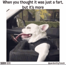 Dog Fart GIF - Dog Fart Funny GIFs