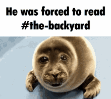 Backyard Seal GIF - Backyard Seal Cry GIFs