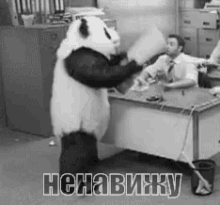 ненавижу ненависть злость панда реклама GIF - I Hate You Hate Mad GIFs