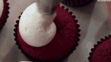 red velvet cupcake cream cheese frosting cupcakes decorating dessert
