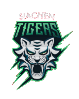 Sミt҉i҉g҉e҉r҉ Gaming Sticker - Sミt҉i҉g҉e҉r҉ Gaming Siachen Tigers Stickers