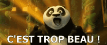 Trop Beau GIF - Panda Excited Woah GIFs