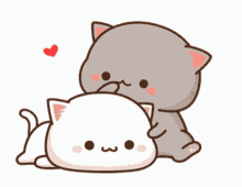 cute cats cartoon heart comfort