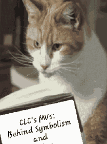clc the cheshire cat cheshire cat twitter cat