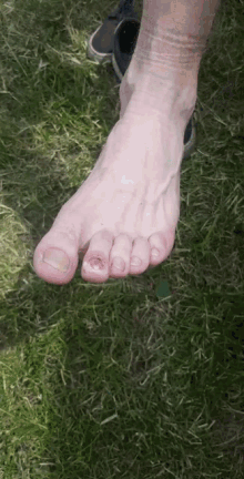 Toe Nail GIF - Toe Nail Toes GIFs