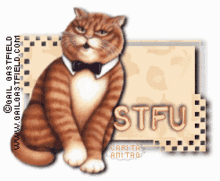 Mjh Stfu GIF - Mjh Stfu Cat GIFs