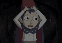 over the garden wall over the garden wall