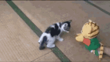 Kitten Playing GIF - Kitten Playing Puppet GIFs