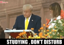 Studing Dont Disturb GIF - Studing Dont Disturb Trump GIFs