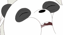 Shocked Panda GIF - Shocked Panda Panpan GIFs
