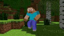 Steve Minecraft GIF - Steve Minecraft Dance GIFs