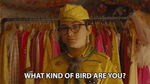 What Kind Of Bird Are You What Bird Are You GIF - What Kind Of Bird Are You What Bird Are You Which Bird Are You GIFs