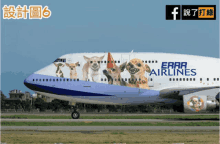 台灣航空 Mild Seven Airlines GIF - 台灣航空 Mild Seven Airlines Dogs GIFs