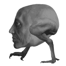 colin raff grotesque creepy weird wtf colin raff grotesque creepy weird wtf