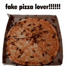 Fake Pizza Lover Ants GIF - Fake Pizza Lover Fake Pizza Pizza GIFs