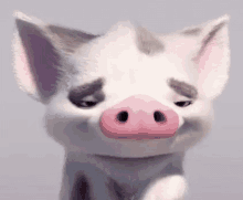 Moana Pig Pua Happy GIF - Moana Pig Pua Pua Pig GIFs