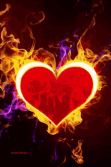 Heart Burning For You GIF - Heart Burning For You Flame GIFs