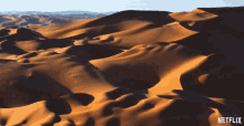 Desert Our Planet GIF - Desert Our Planet From Deserts To Grasslands GIFs