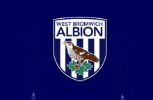 West Brom West Bromwich Albion GIF - West Brom West Bromwich Albion West GIFs