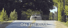 Car Trick Dog Car GIF - Car Trick Dog Car Car Jump GIFs