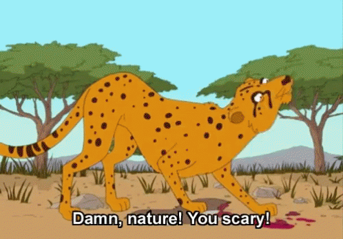 Damn Nature You Scary GIFs |