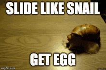 Snail Crezzy GIF - Snail Crezzy Egg GIFs