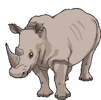 Rhinoceros White Rhinoceros Sticker - Rhinoceros White Rhinoceros Northern White Rhinoceros Stickers