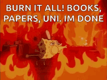 Burn It All Books Papers Uni Im Done GIF - Burn It All Books Papers Uni Im Done Calm Down GIFs