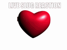 Live Slug Reaction Jeremichael GIF - Live Slug Reaction Jeremichael Jeremike GIFs