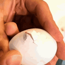 Egg Shell Crack GIF - Egg Shell Crack Finger GIFs