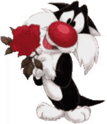 Flowers For You Roses GIF - Flowers For You Flowers Roses GIFs