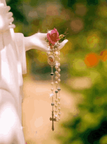 Virgin Mary Rose GIF - Virgin Mary Rose Flower GIFs
