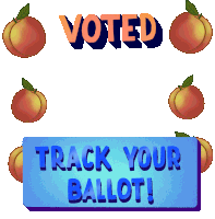 Georgia I Voted Sticker - Georgia I Voted Ronoff Stickers