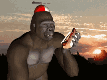 Gorilla Hot Dog GIF - Gorilla Hot Dog Funny GIFs