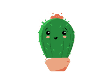 cactus happy excited plant happy plant