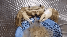 Crab Ramen GIF - Crab Ramen Eat GIFs
