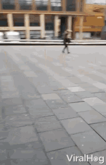 Scurrying Stumbled GIF - Scurrying Stumbled Fell GIFs