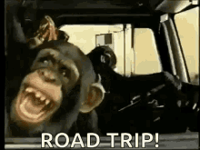 Road Trip Joy Ride GIF - Road Trip Joy Ride Monkeys GIFs