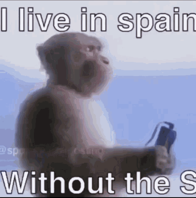Spain Meme Pain