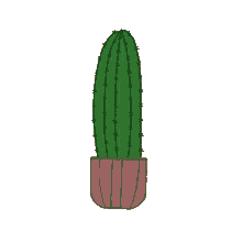 cactus plant green faizah monstera plant green indoor wiggle