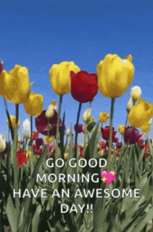 Have Am Awesome Day Good Morning GIF - Have Am Awesome Day Good Morning Tulips GIFs