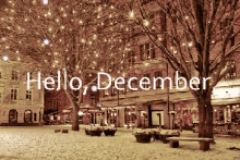 Hello December Happy December GIF - Hello December Happy December GIFs